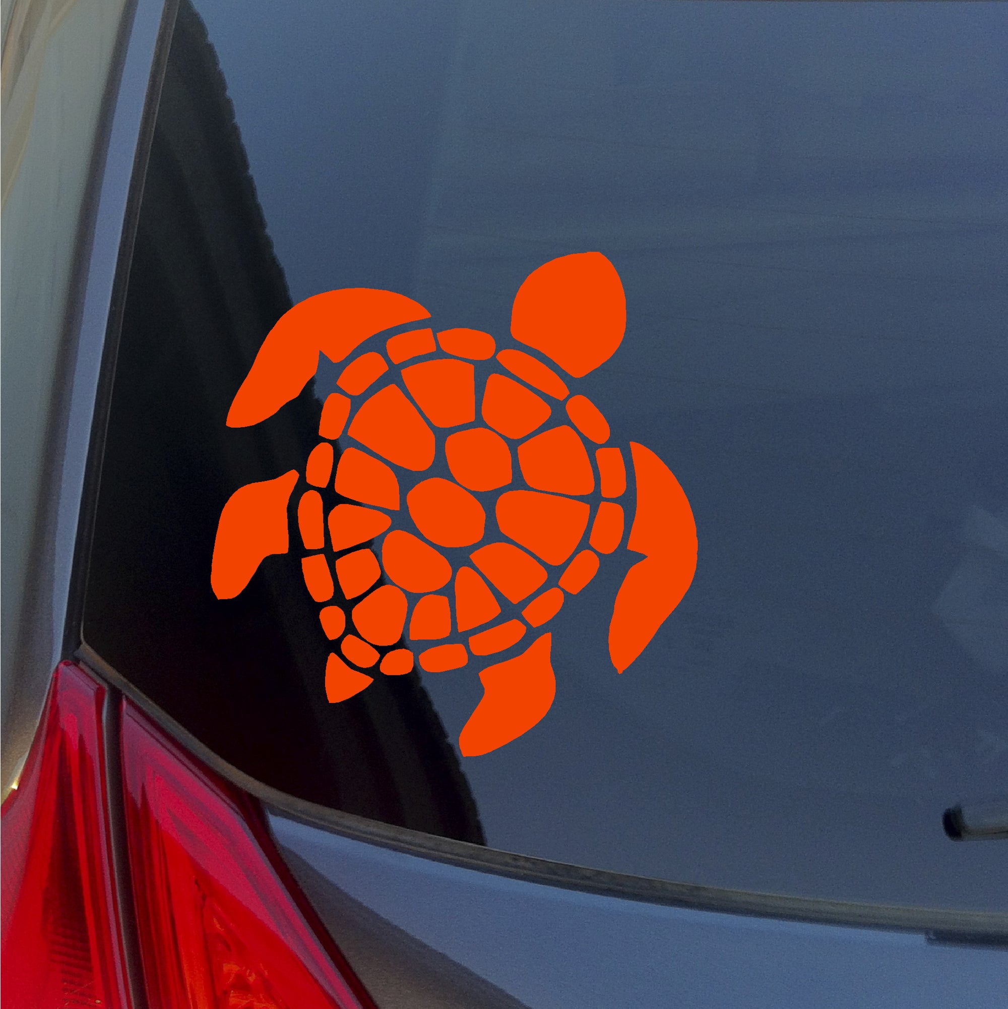 Sea Turtle detailed shell vinyl sticker